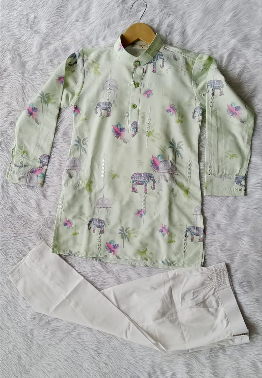Aarom Green Color Kurta Pajama (Elephant Print)