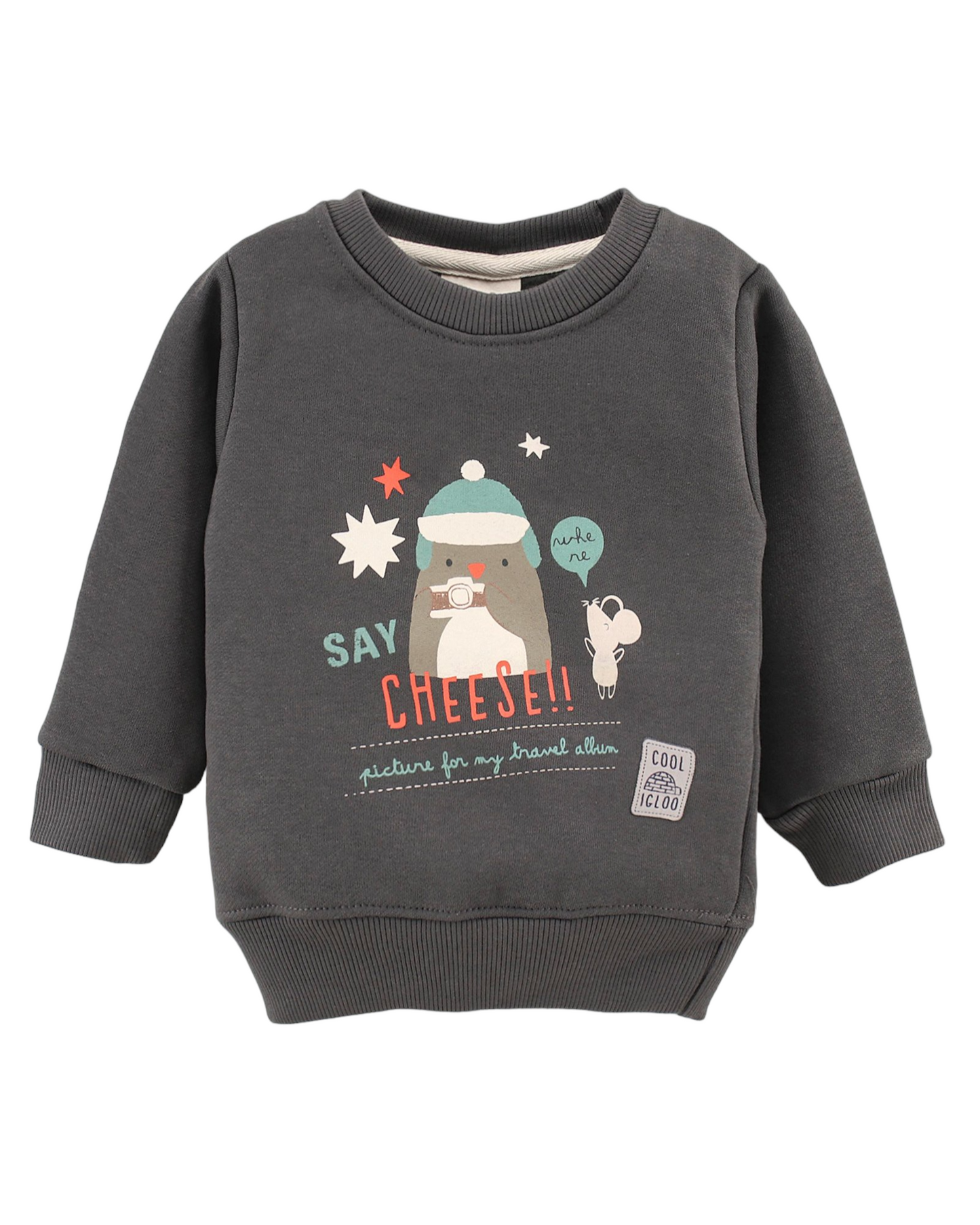 Full Sleeves Sweatshirt & Lounge Pant Set Say Cheese Theme Winter Set - Grey