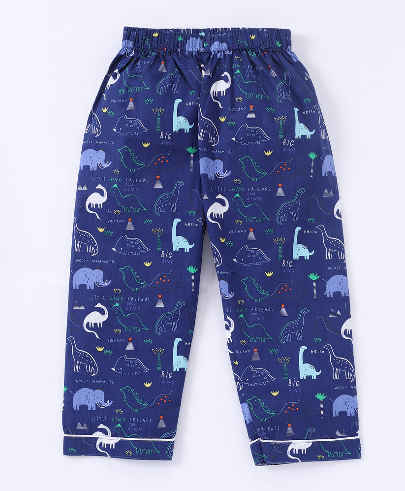 Blue dinosaur printed night ware for kids5