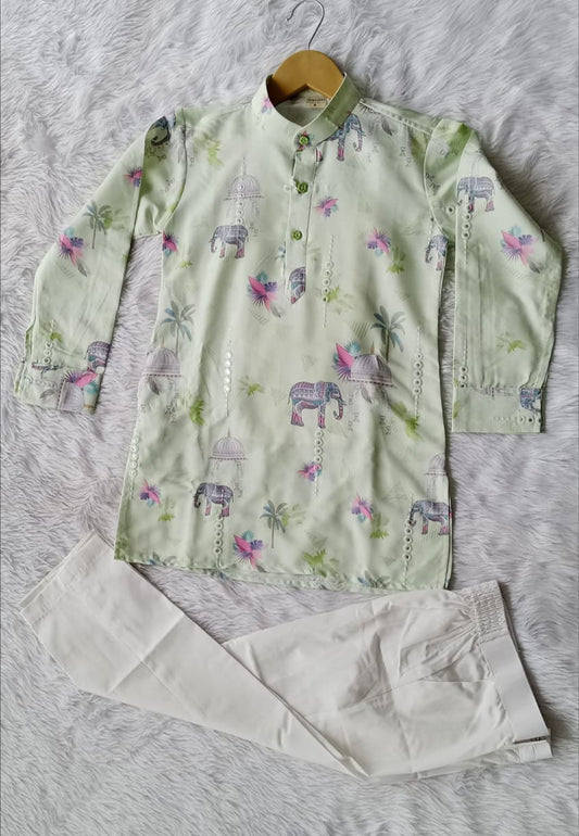 Aarom Green Color Kurta Pajama (Elephant Print)