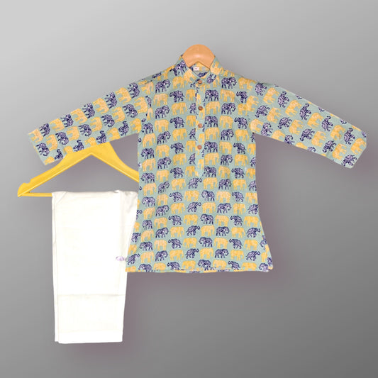 Elephants printed light green Color cute kurta pajama set for boys