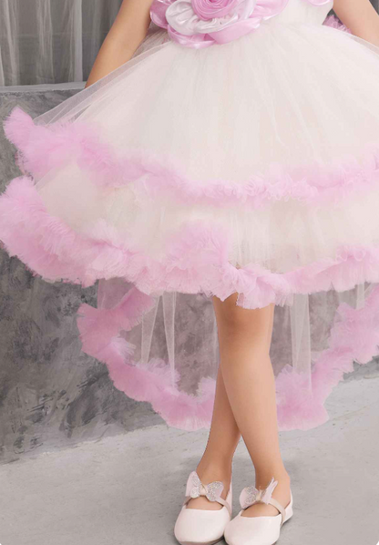 Sleeveless Pink Frock With Floral Emblishments