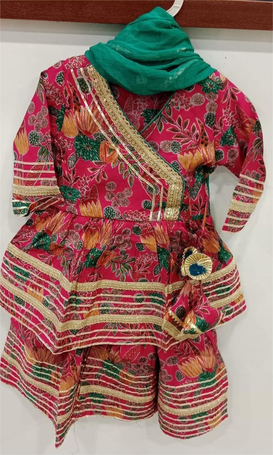 Pink and Green Sharara set with Jarigota