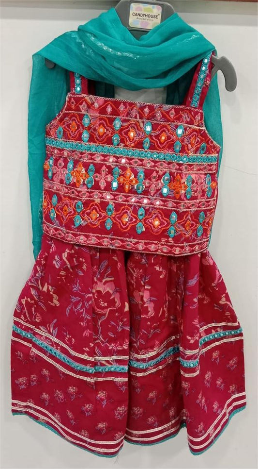 Pink Embroidery Lehenga Choli