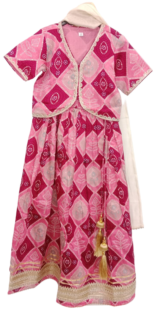 Rani Pink Jarigota Lehenga Choli