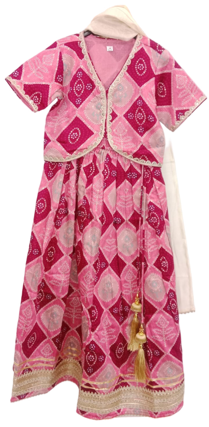 Rani Pink Jarigota Lehenga Choli