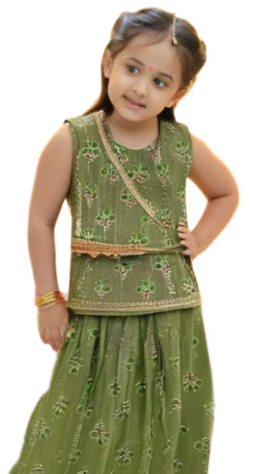 Olive Green Color Lehenga Choli