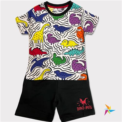 Boys T-shirt shorts set Dino print Colorful