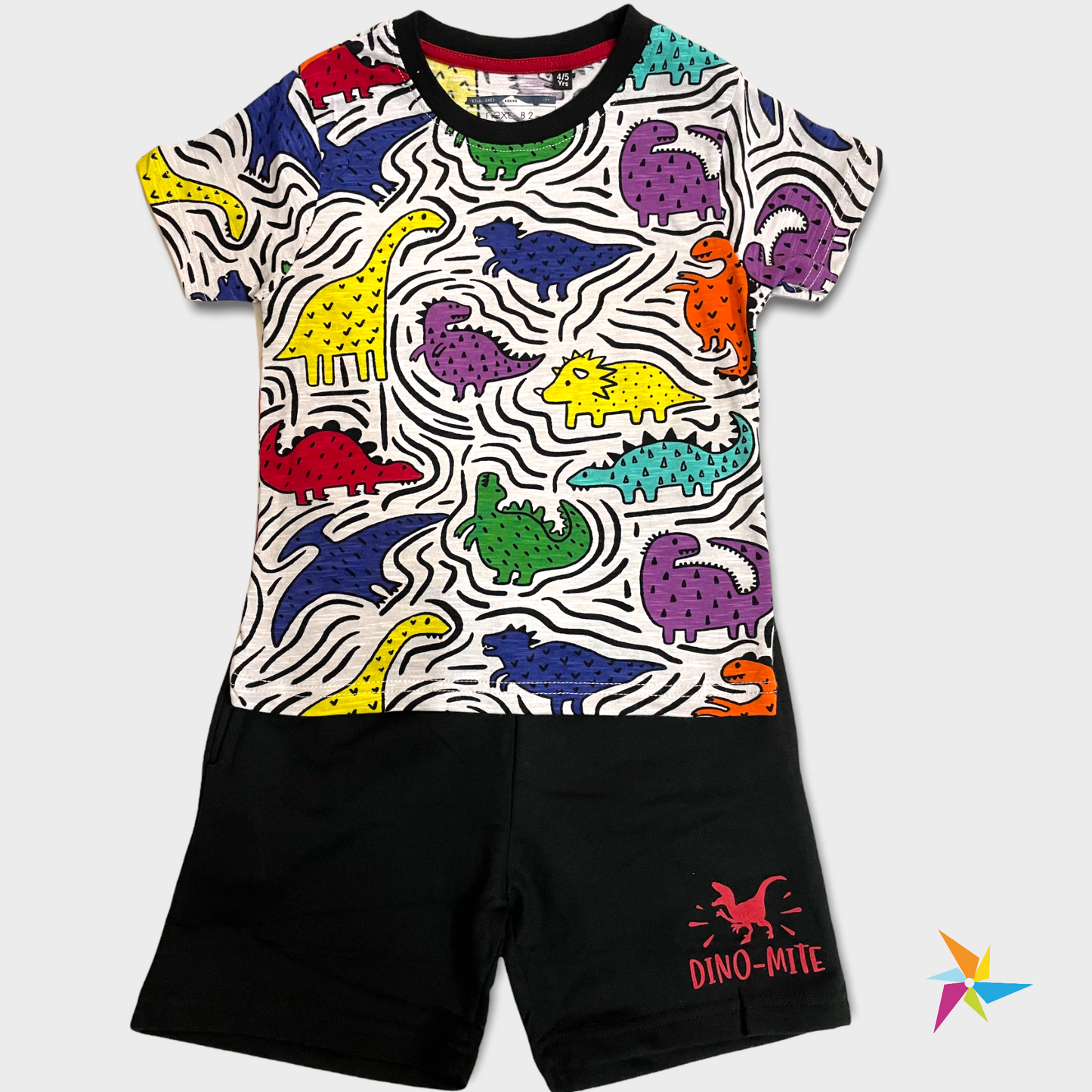 Dino print T-shirt set for boys