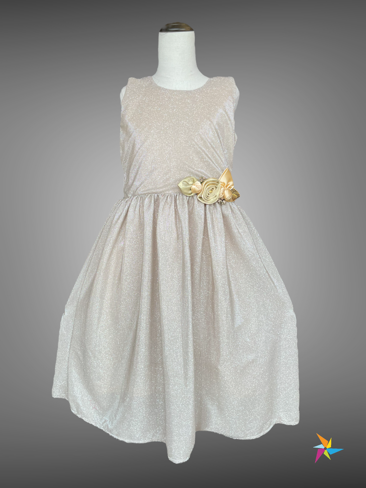 Girls Gold party dress