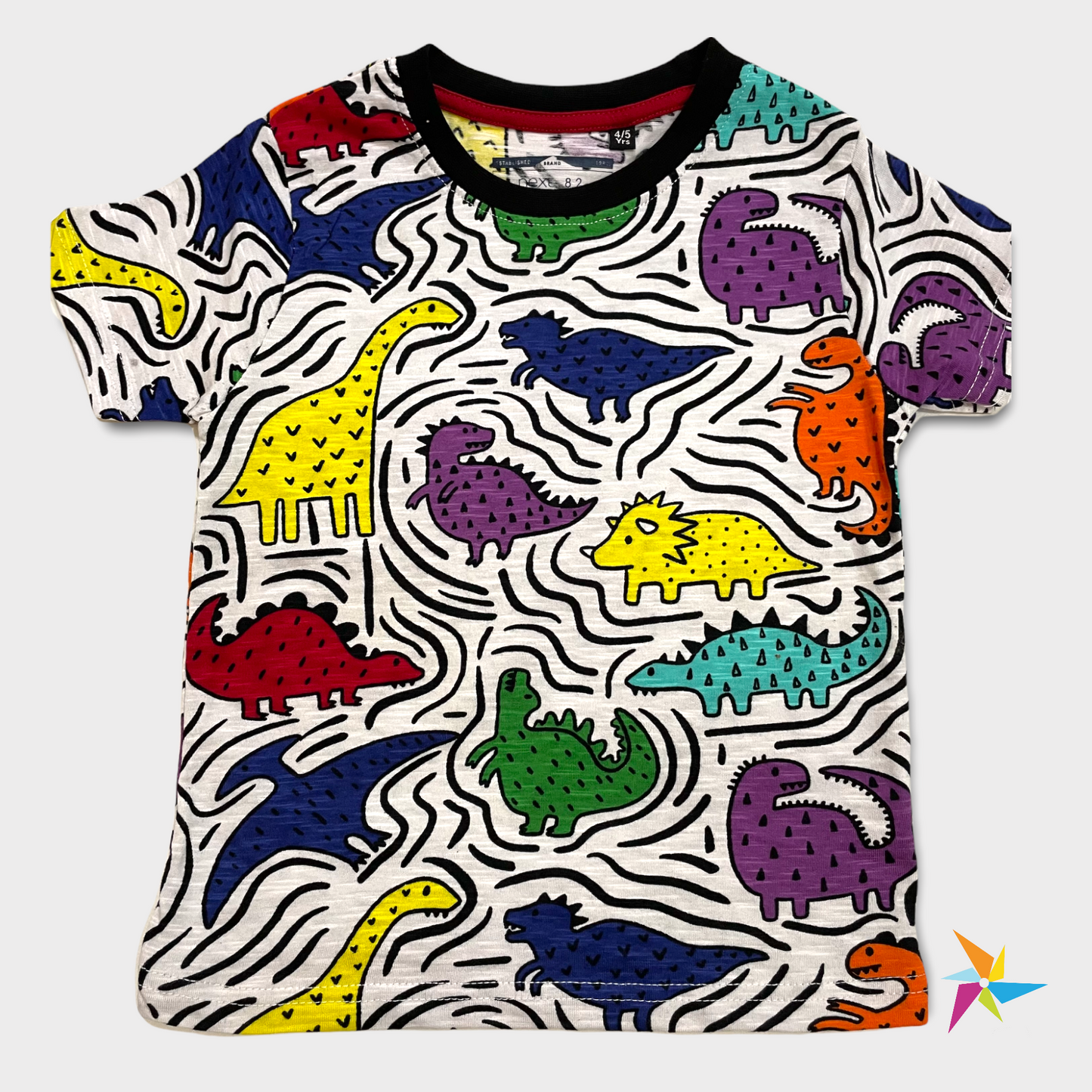 Dino print T-shirt set for boys